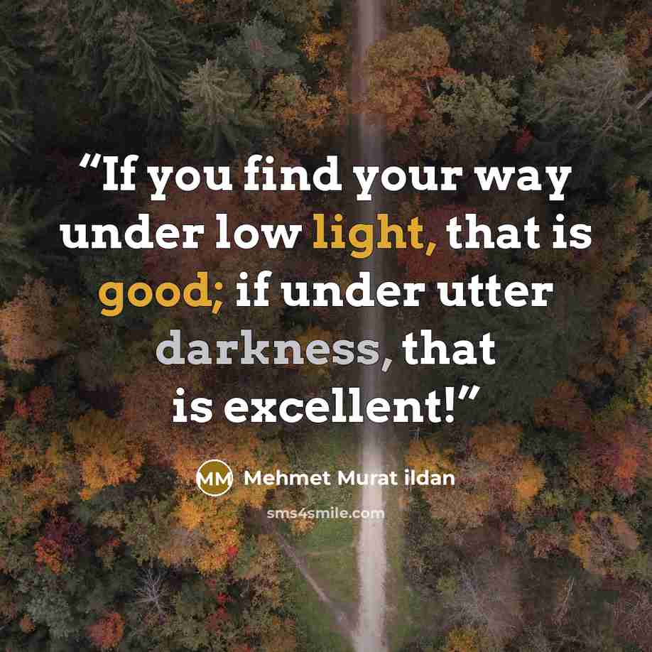 “If you find your way under low light, that is good; if under utter darkness, that is excellent!” quote by Mehmet Murat ildan