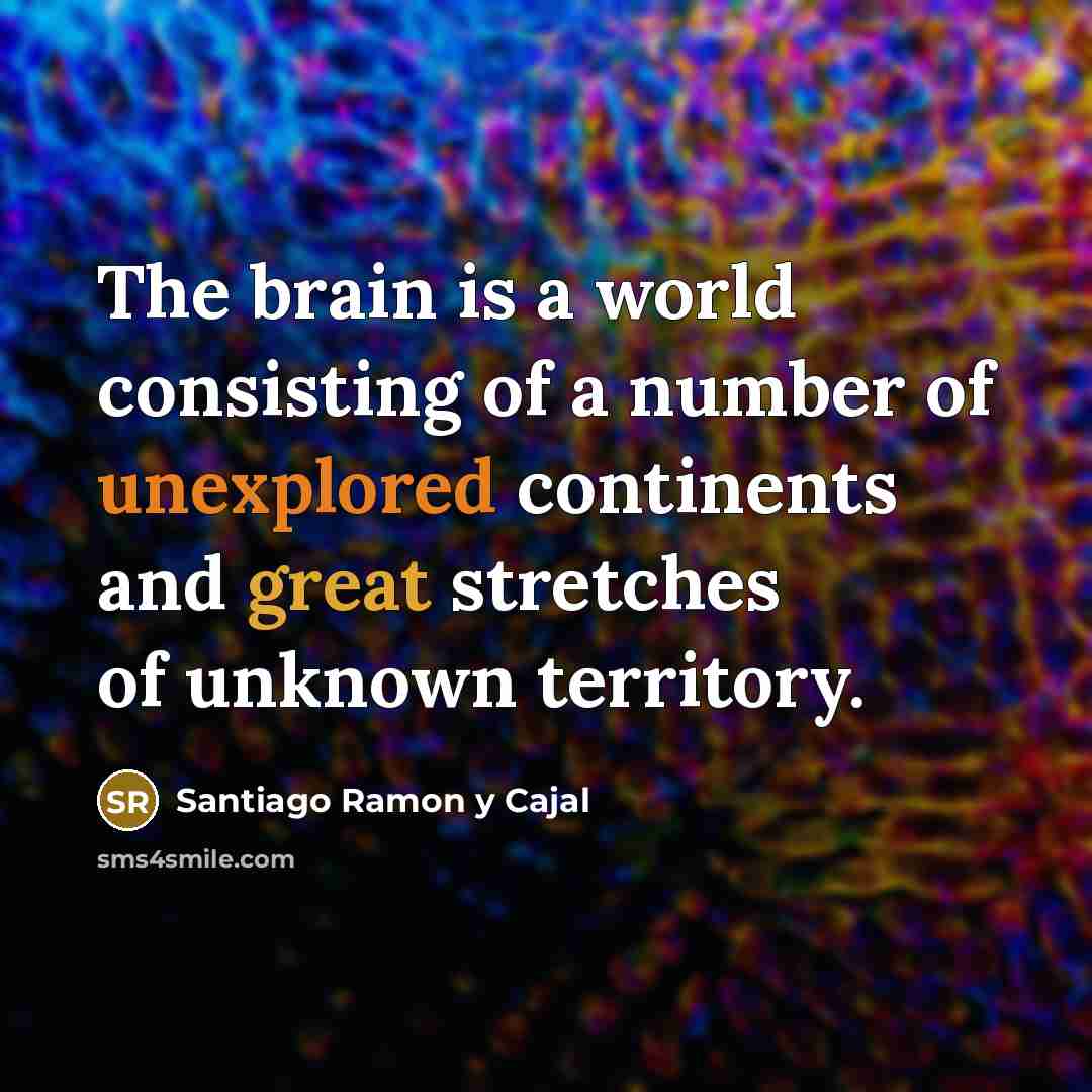 “The brain is a world consisting of a number of unexplored continents and great stretches of unknown territory.” quote by Santiago Ramon y Cajal