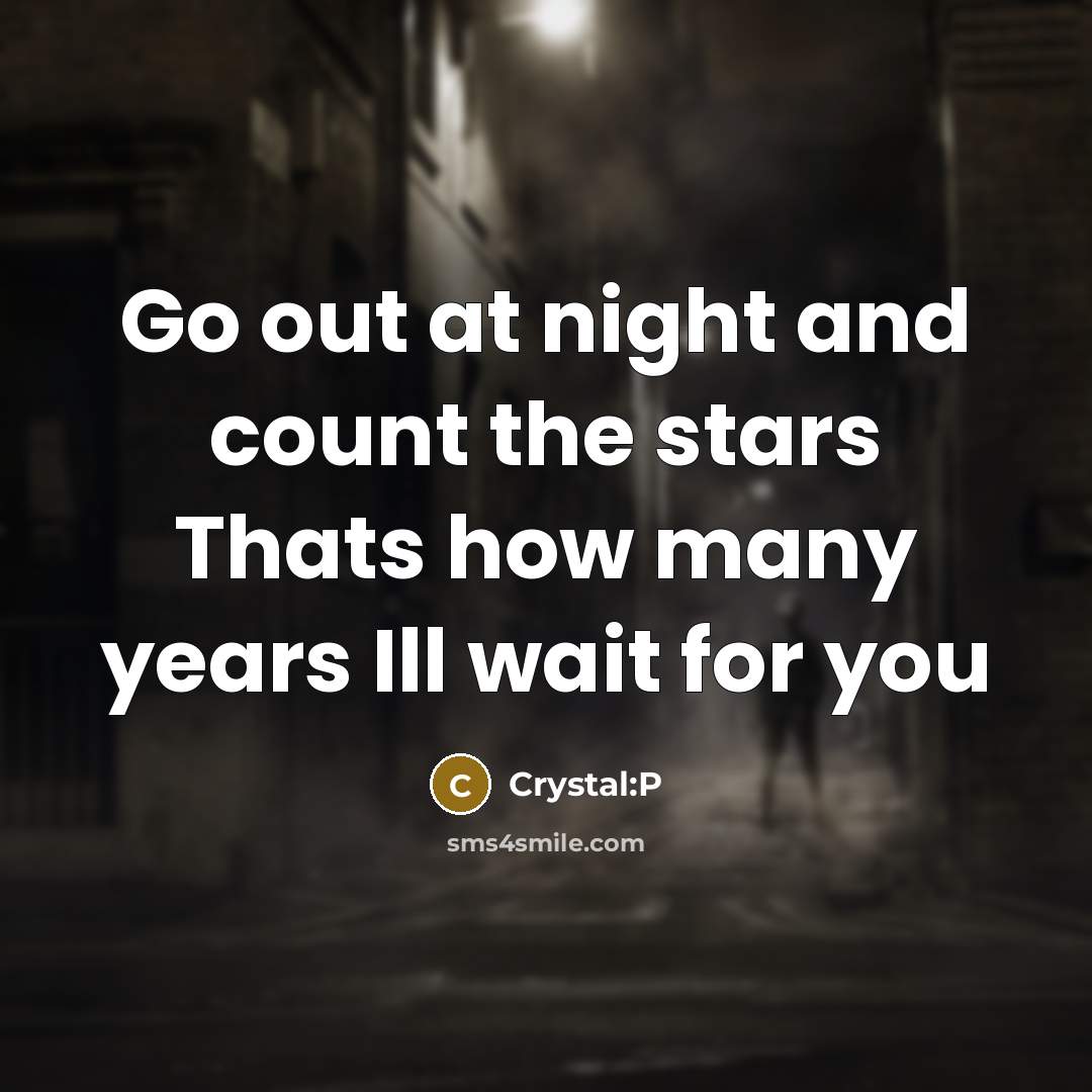 “Go out at night and count the stars Thats how many years Ill wait for you” quote by Crystal:P