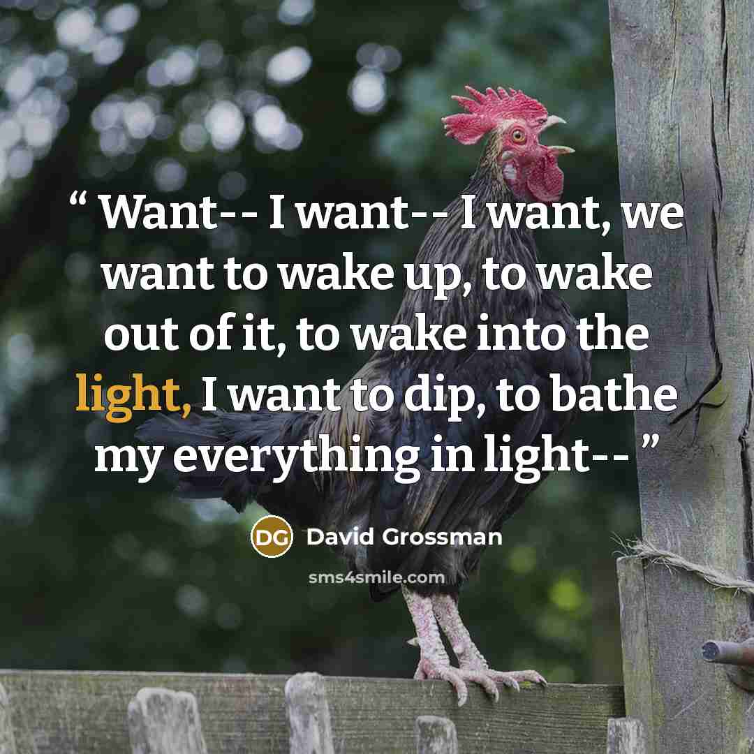 “Want-- I want-- I want, we want to wake up, to wake out of it, to wake into the light, I want to dip, to bathe my everything in light--” quote by David Grossman