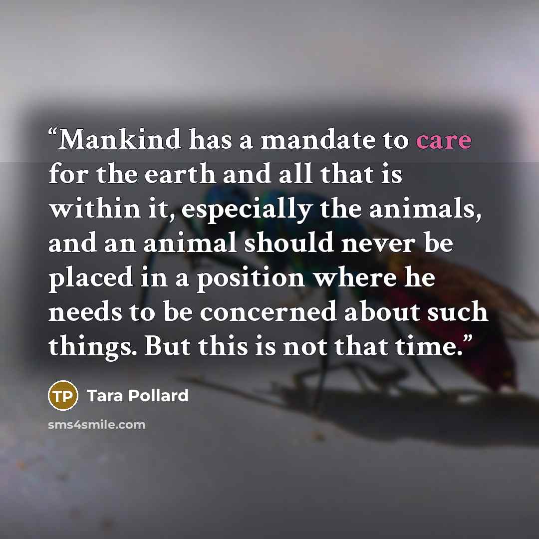 “Mankind has a mandate to care for the earth and all that is within it, especially the animals, and an animal should never be placed in a position where he needs to be concerned about such things. But this is not that time.” quote by Tara Pollard