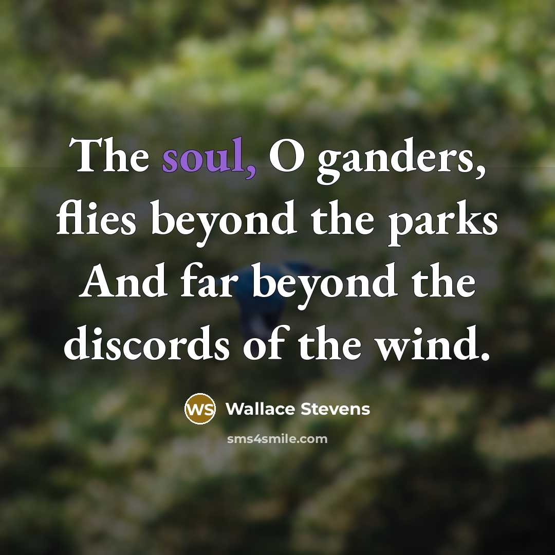 “The soul, O ganders, flies beyond the parks And far beyond the discords of the wind.” quote by Wallace Stevens