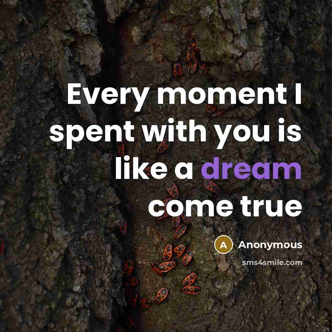 “Every moment I spent with you is like a dream come true” quote by Anonymous
