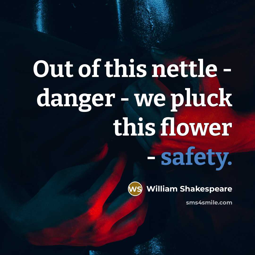 “Out of this nettle - danger - we pluck this flower - safety.” quote by William Shakespeare