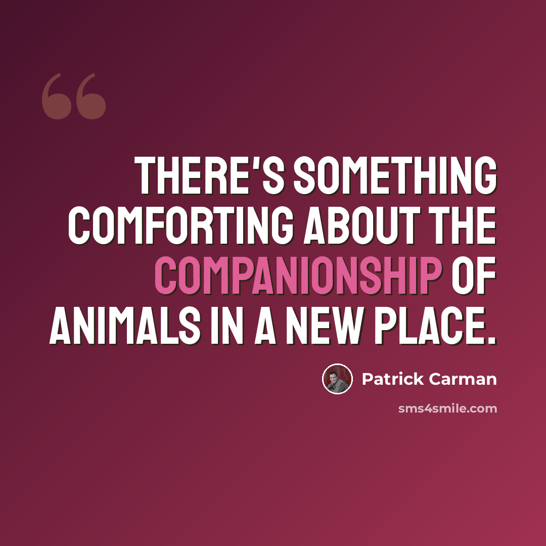 “There's something comforting about the companionship of animals in a new place.” quote by Patrick Carman