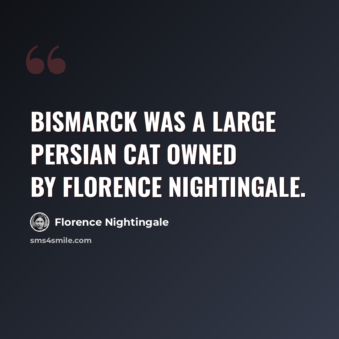 “Bismarck was a large persian cat owned by Florence Nightingale.” quote by Florence Nightingale