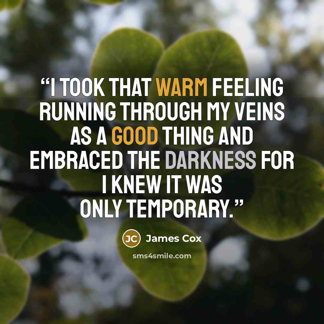 “I took that warm feeling running through my veins as a good thing and embraced the darkness for I knew it was only temporary.” quote by James Cox