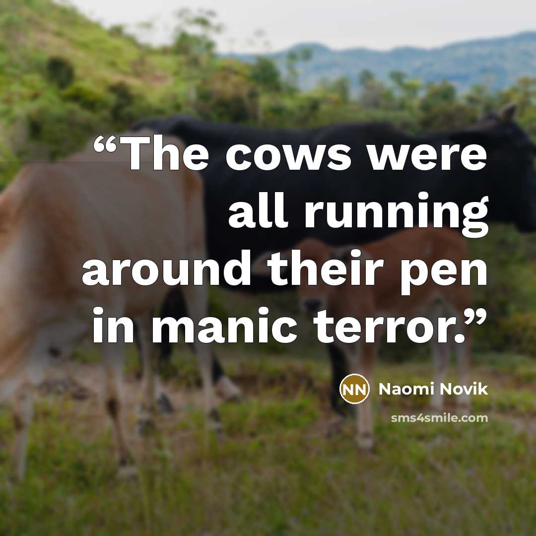 “The cows were all running around their pen in manic terror.” quote by Naomi Novik