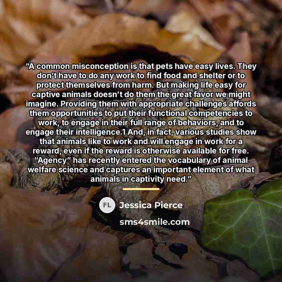 “A common misconception is that pets have easy lives. They don’t have to do any work to find food and shelter or to protect themselves from harm. But making life easy for captive animals doesn’t do them the great favor we might imagine. Providing them with appropriate challenges affords them…” quote by Jessica Pierce