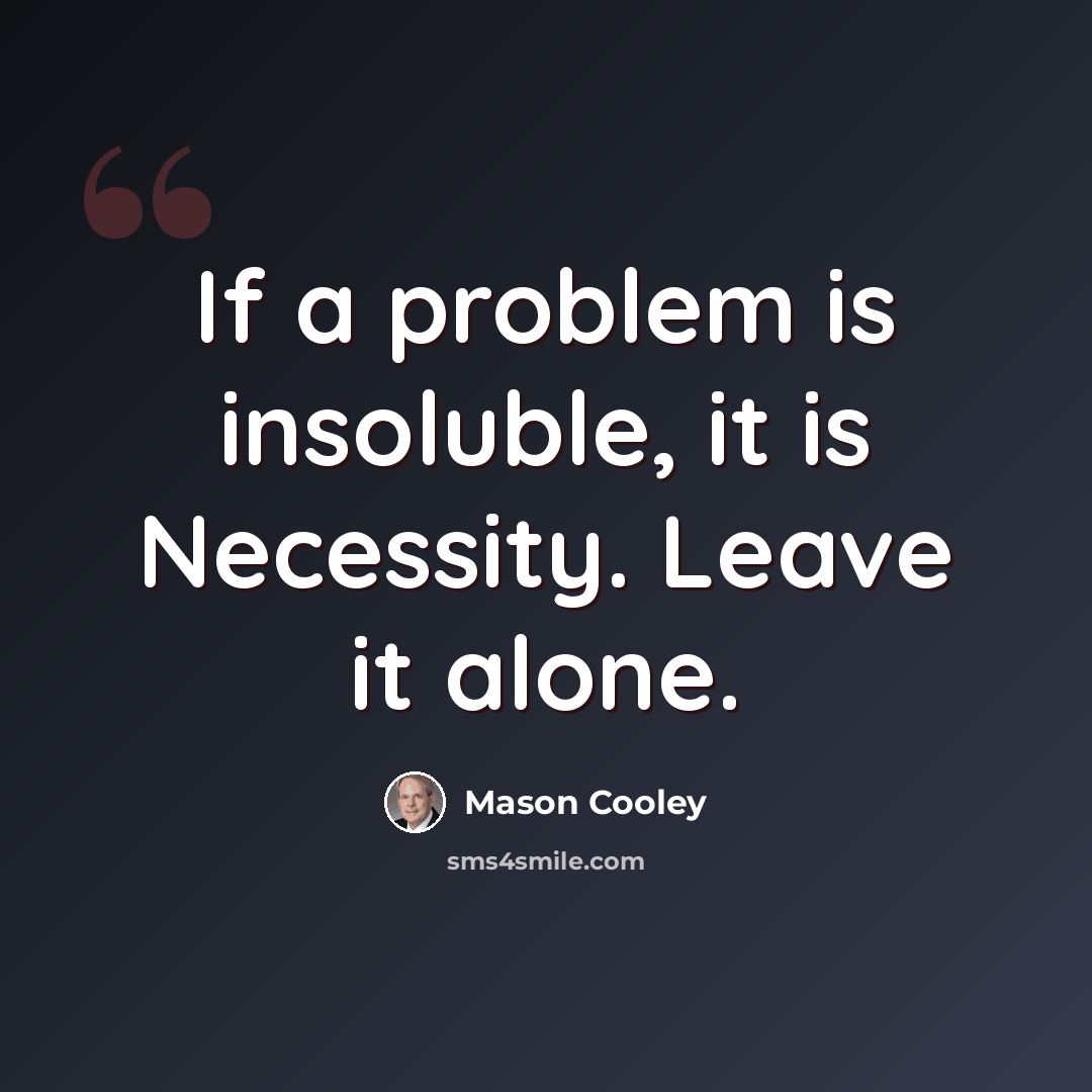 “If a problem is insoluble, it is Necessity. Leave it alone.” quote by Mason Cooley