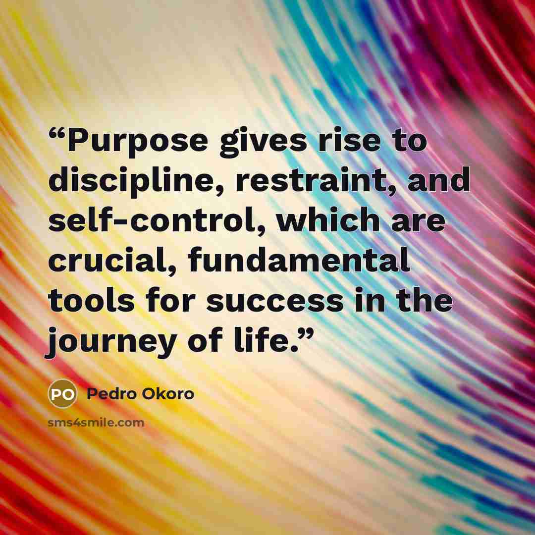 “Purpose gives rise to discipline, restraint, and self-control, which are crucial, fundamental tools for success in the journey of life.” quote by Pedro Okoro