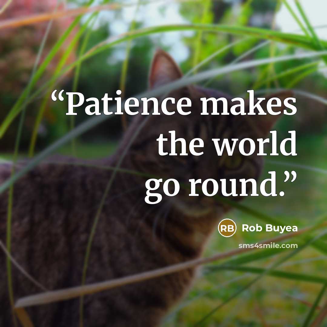 “Patience makes the world go round.” quote by Rob Buyea