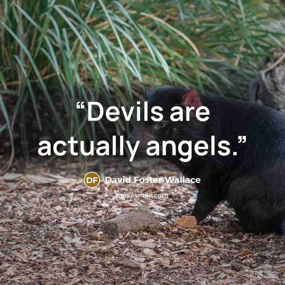 “Devils are actually angels.” quote by david foster wallace