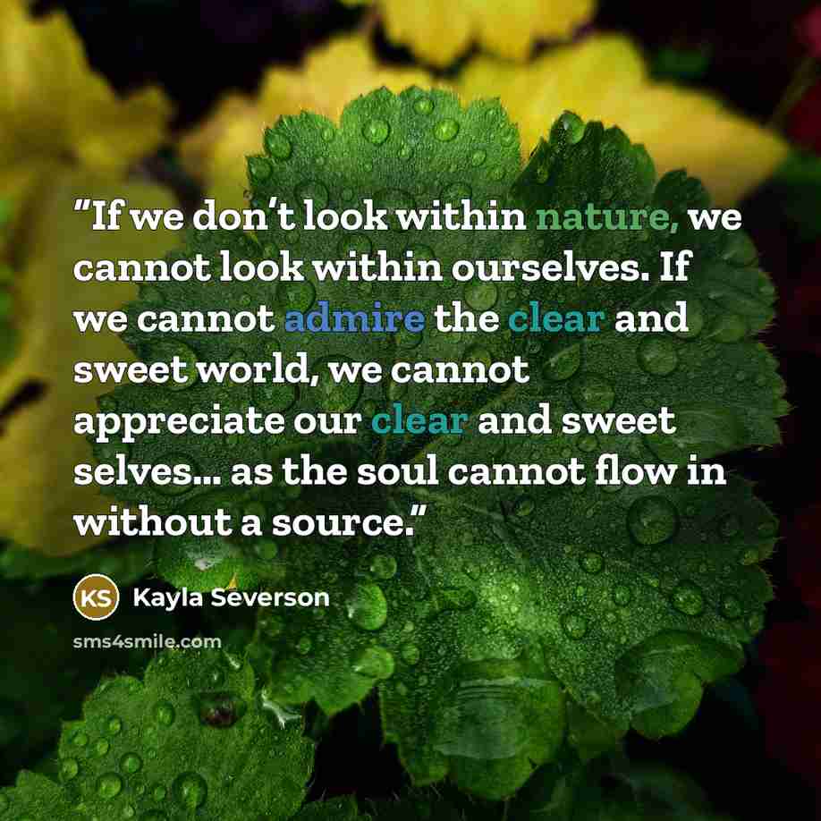 “If we don’t look within nature, we cannot look within ourselves. If we cannot admire the clear and sweet world, we cannot appreciate our clear and sweet selves… as the soul cannot flow in without a source.” quote by Kayla Severson
