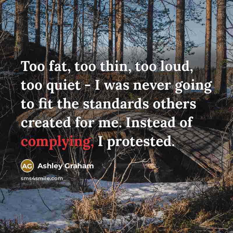 “Too fat, too thin, too loud, too quiet - I was never going to fit the standards others created for me. Instead of complying, I protested.” quote by Ashley Graham