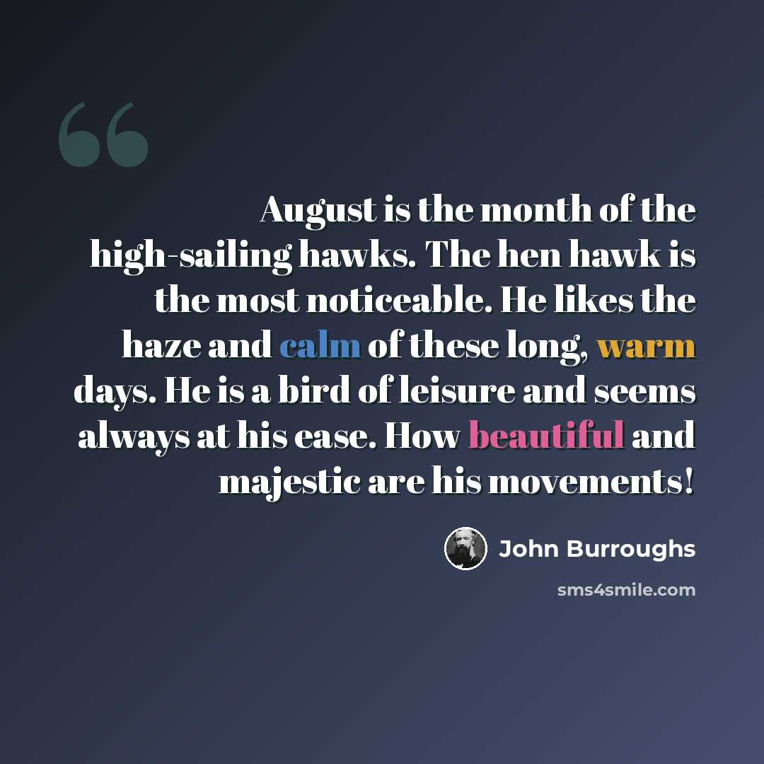 “August is the month of the high-sailing hawks. The hen hawk is the most noticeable. He likes the haze and calm of these long, warm days. He is a bird of leisure and seems always at his ease. How beautiful and majestic are his movements!” quote by John Burroughs
