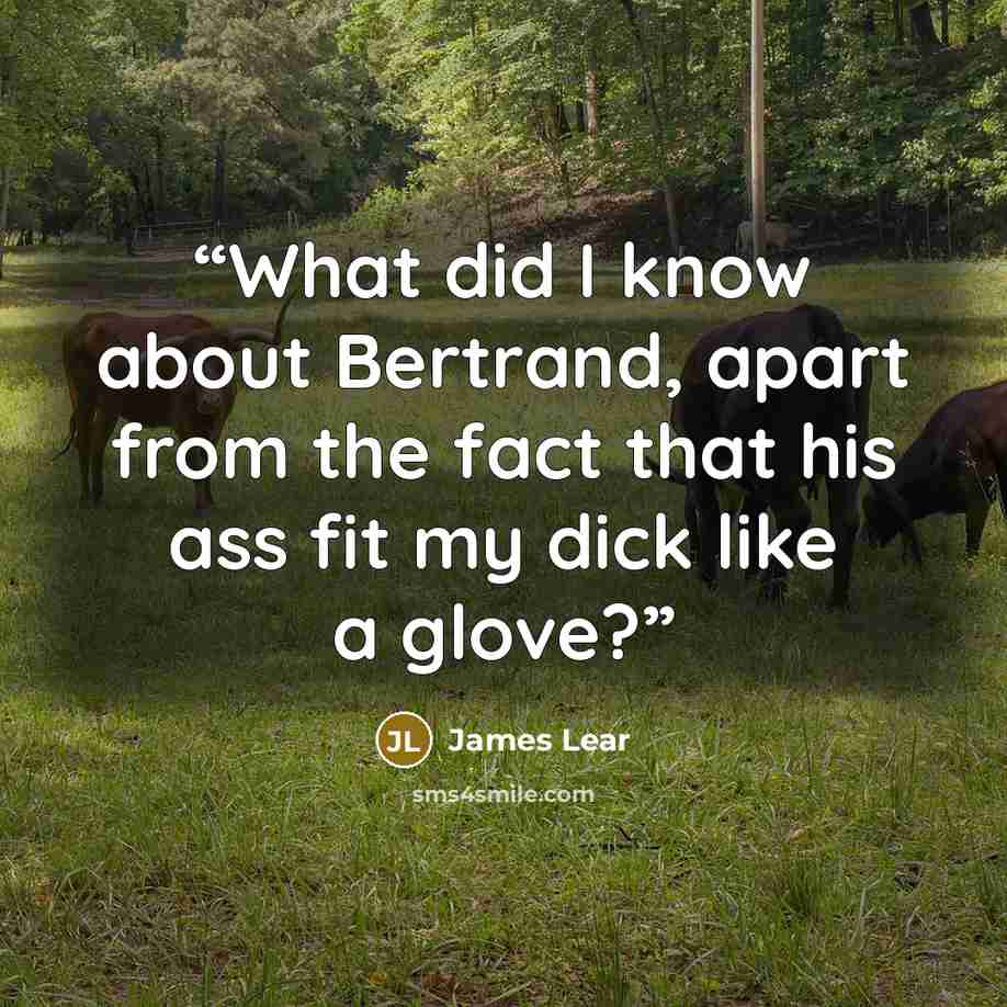 “What did I know about Bertrand, apart from the fact that his ass fit my dick like a glove?” quote by James Lear