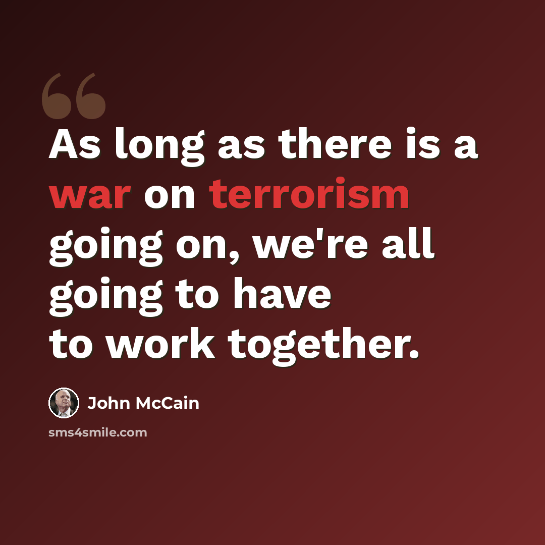 “As long as there is a war on terrorism going on, we're all going to have to work together.” quote by John McCain