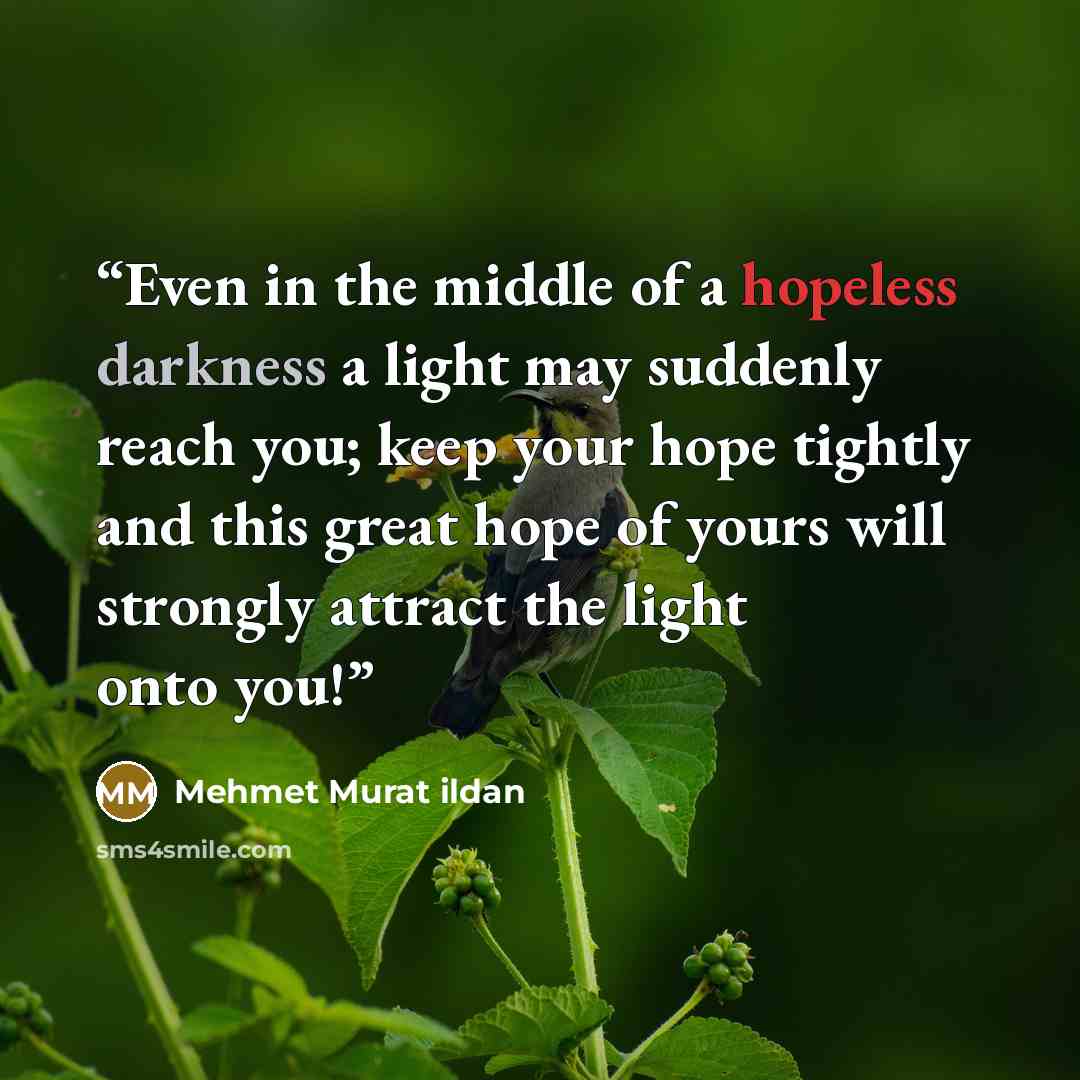 “Even in the middle of a hopeless darkness a light may suddenly reach you; keep your hope tightly and this great hope of yours will strongly attract the light onto you!” quote by Mehmet Murat ildan