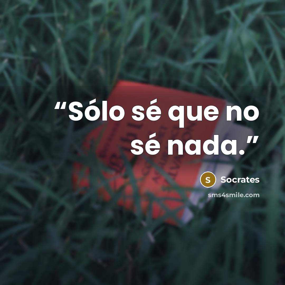 “Sólo sé que no sé nada.” quote by Sócrates