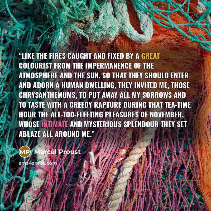 “Like the fires caught and fixed by a great colourist from the impermanence of the atmosphere and the sun, so that they should enter and adorn a human dwelling, they invited me, those chrysanthemums, to put away all my sorrows and to taste with a greedy rapture during that tea-time hour the…” quote by Marcel Proust