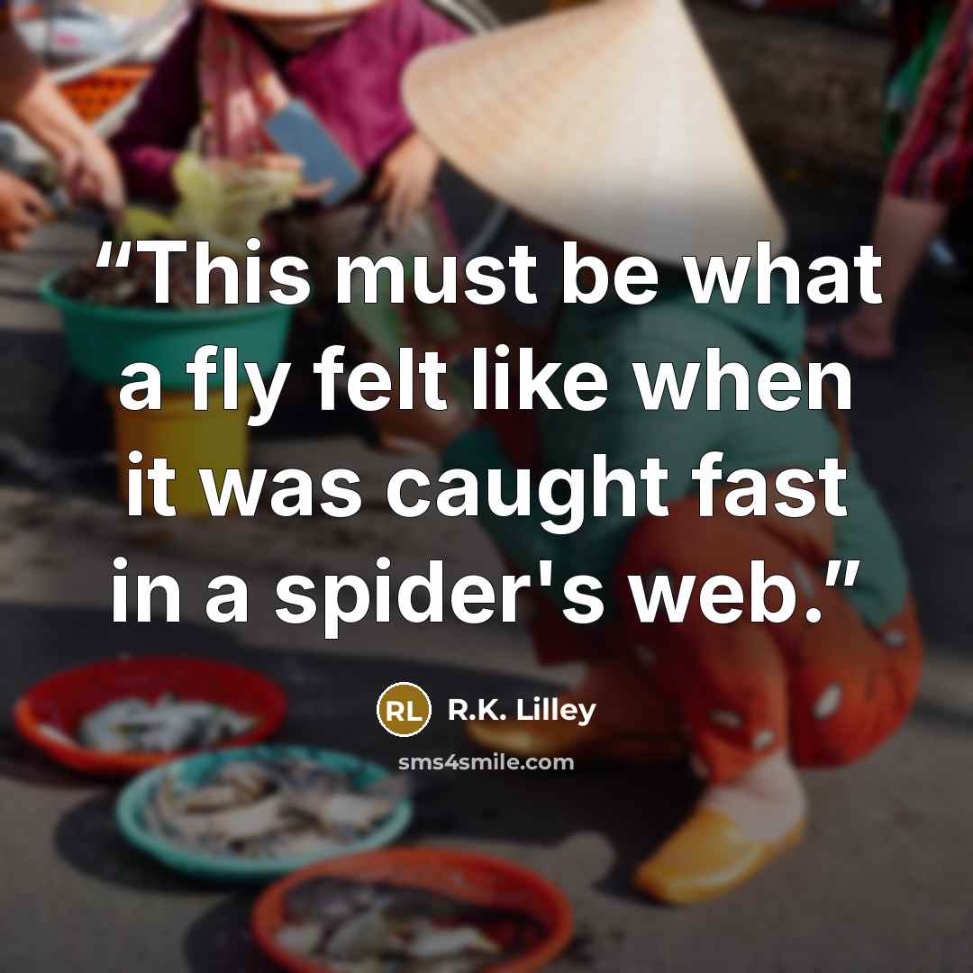 “This must be what a fly felt like when it was caught fast in a spider's web.” quote by R.K. Lilley