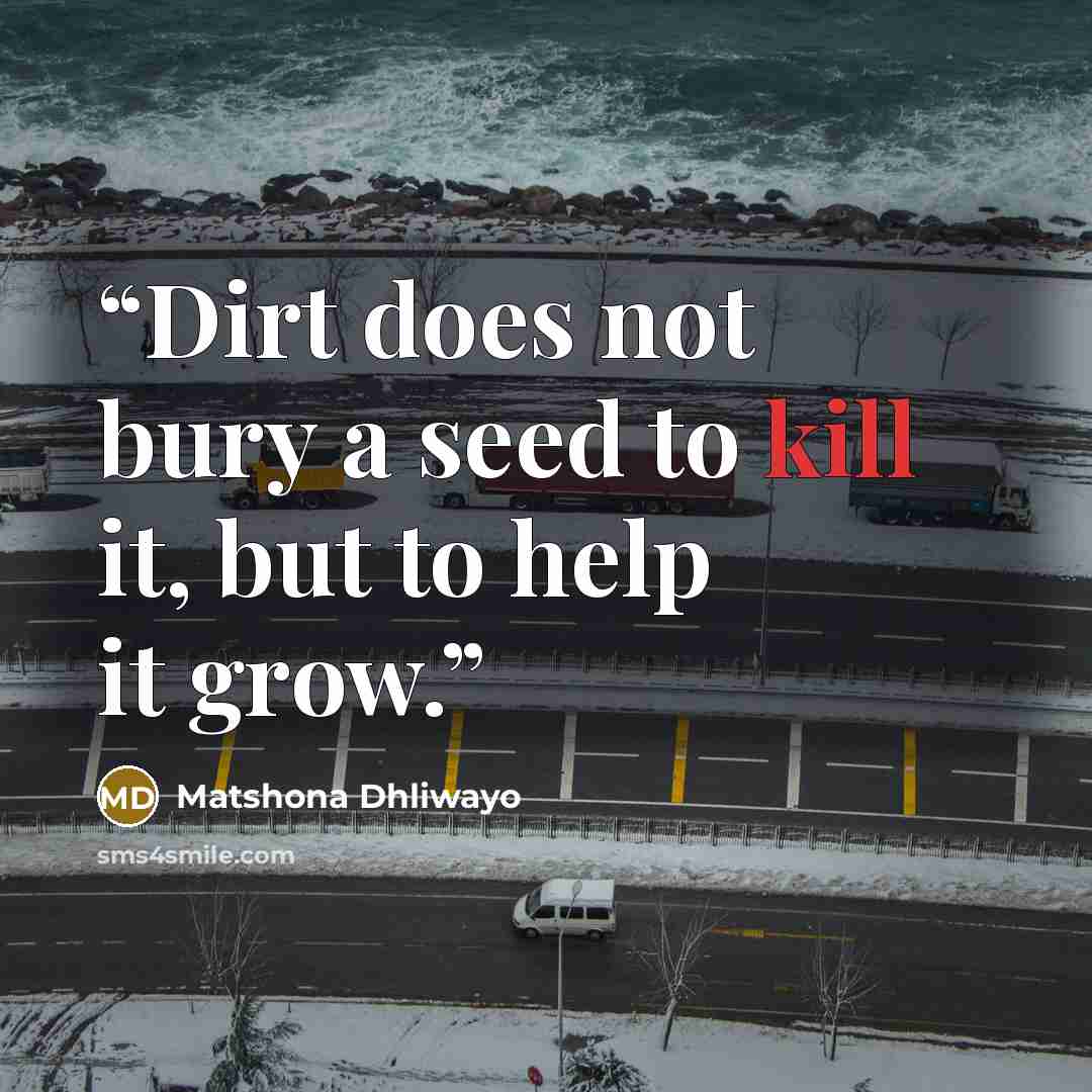 “Dirt does not bury a seed to kill it, but to help it grow.” quote by Matshona Dhliwayo