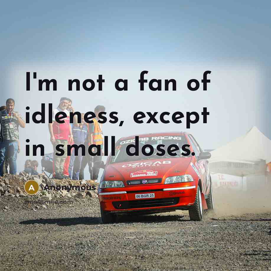 “I'm not a fan of idleness, except in small doses.” quote by Anonymous