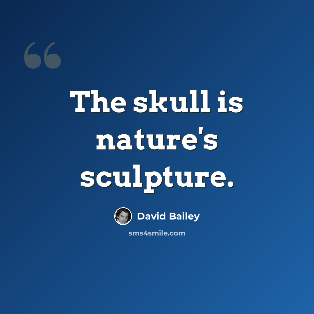 “The skull is nature's sculpture.” quote by David Bailey