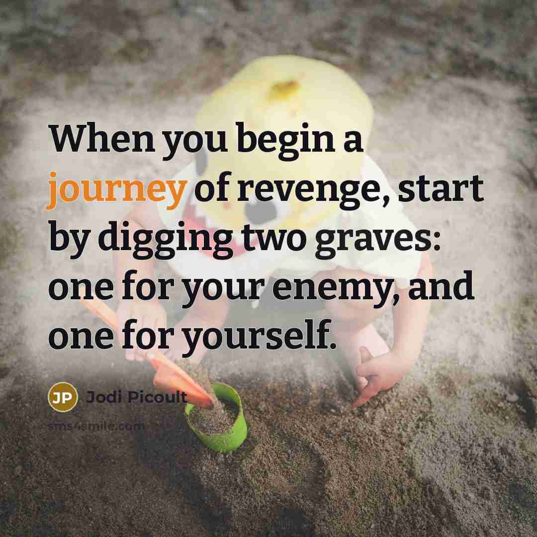 “When you begin a journey of revenge, start by digging two graves: one for your enemy, and one for yourself.” quote by Jodi Picoult