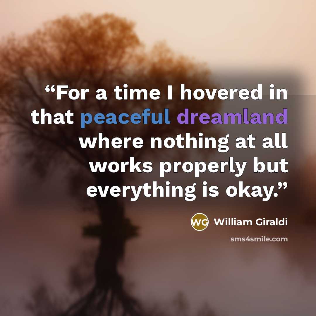 “For a time I hovered in that peaceful dreamland where nothing at all works properly but everything is okay.” quote by William Giraldi
