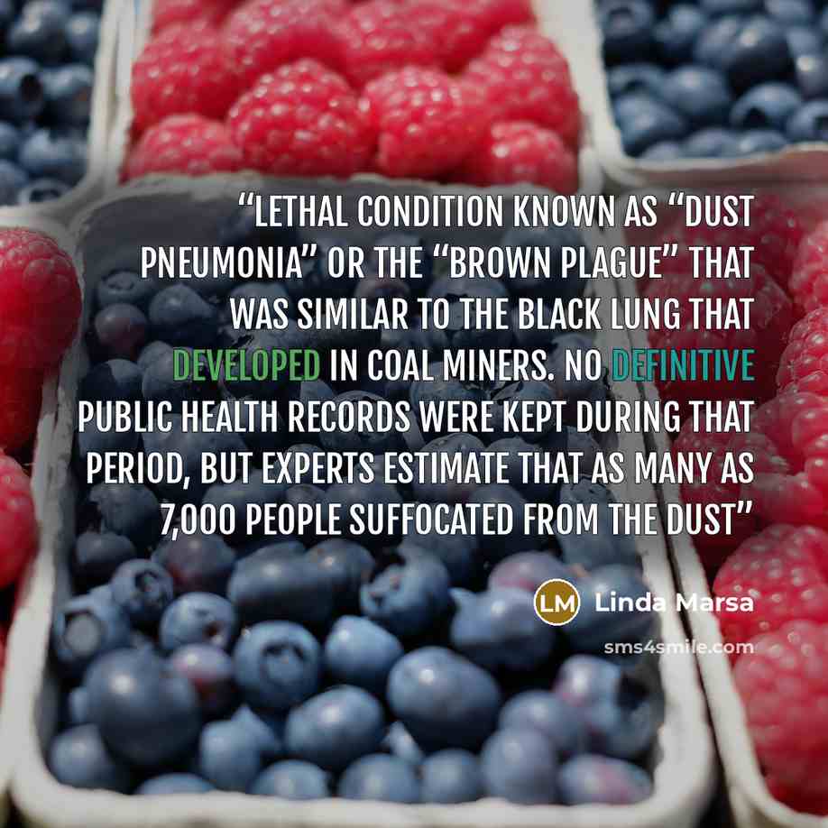 “lethal condition known as “dust pneumonia” or the “brown plague” that was similar to the black lung that developed in coal miners. No definitive public health records were kept during that period, but experts estimate that as many as 7,000 people suffocated from the dust” quote by Linda Marsa