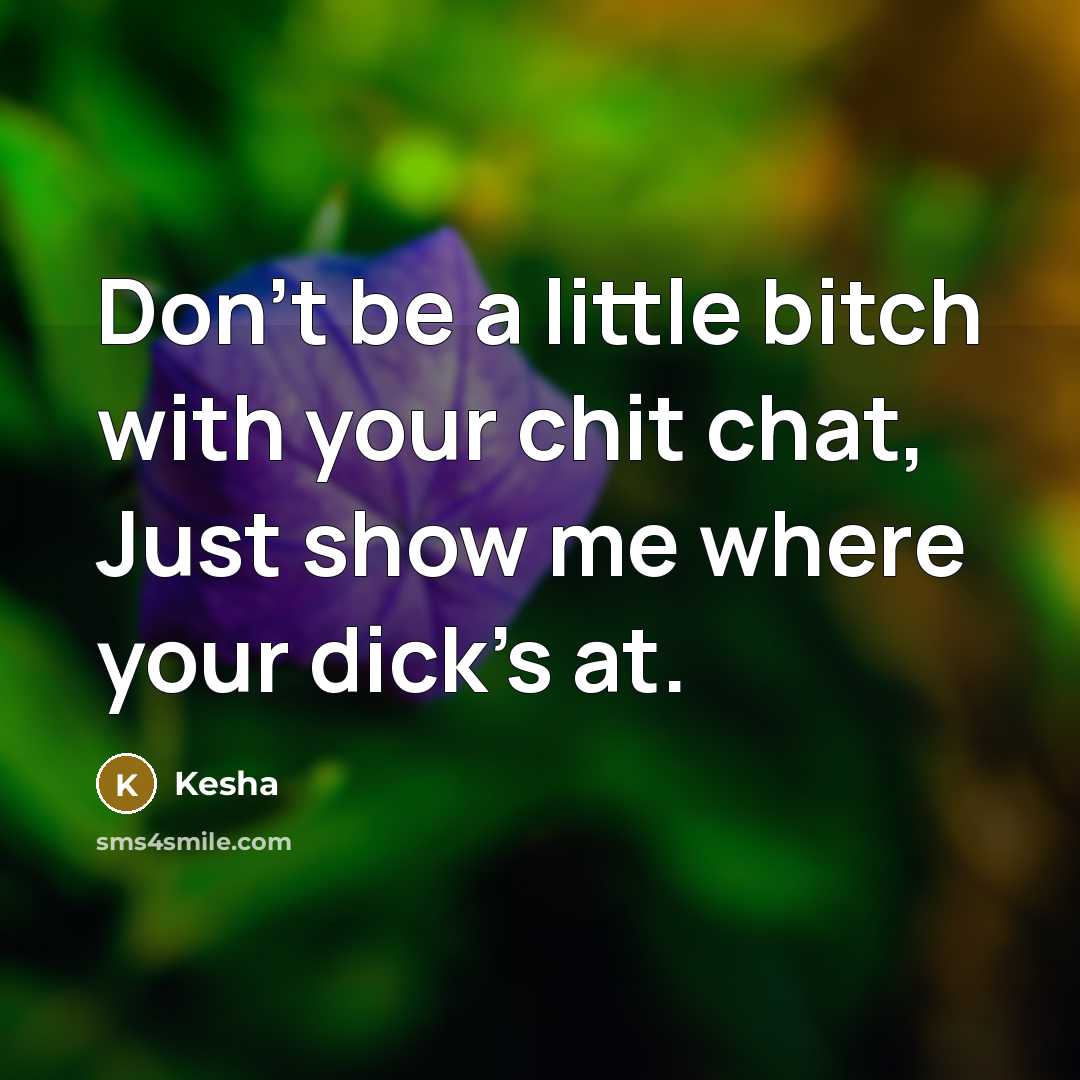 “Don't be a little bitch with your chit chat, Just show me where your dick's at.” quote by Kesha