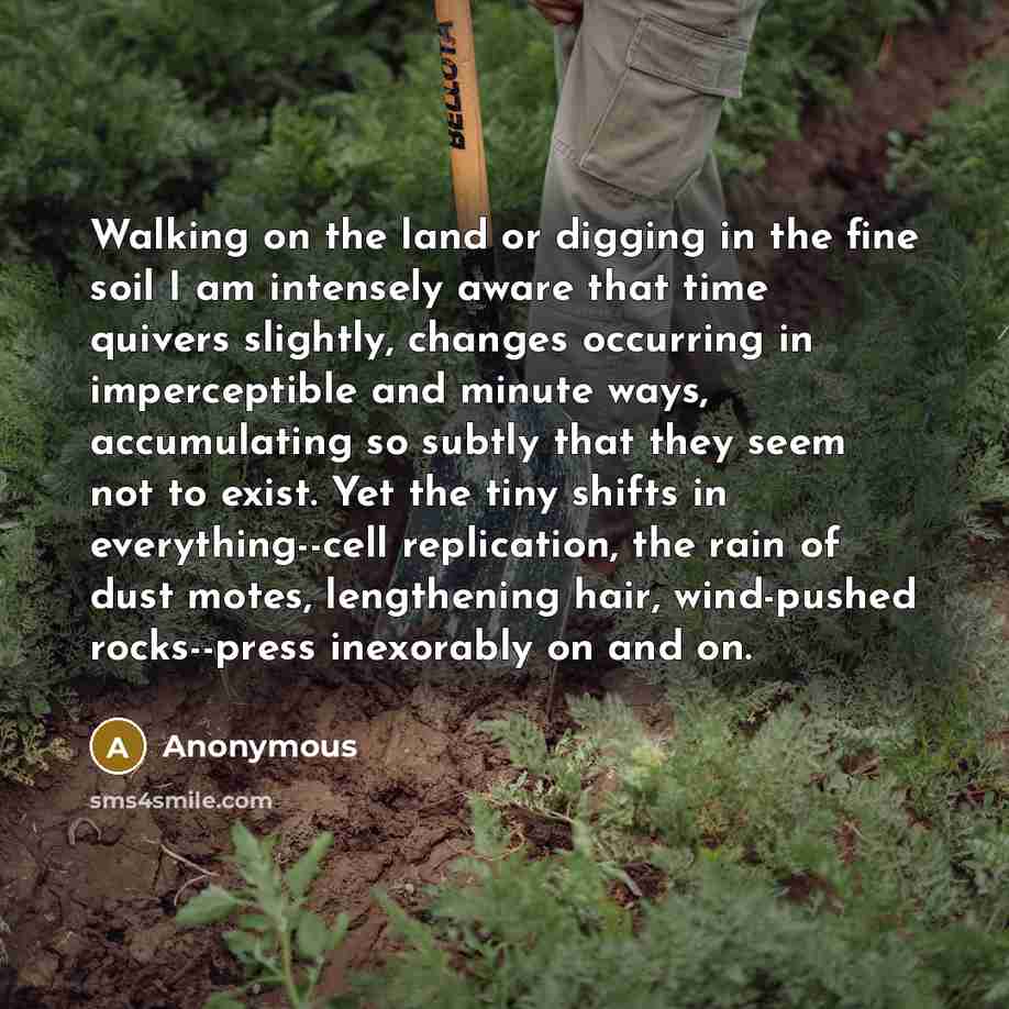 “Walking on the land or digging in the fine soil I am intensely aware that time quivers slightly, changes occurring in imperceptible and minute ways, accumulating so subtly that they seem not to exist. Yet the tiny shifts in everything--cell replication, the rain of dust motes, lengthening hair…” quote by Anonymous