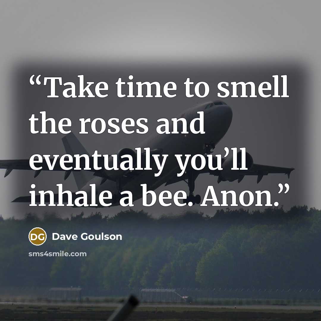 “Take time to smell the roses and eventually you’ll inhale a bee. Anon.” quote by Dave Goulson