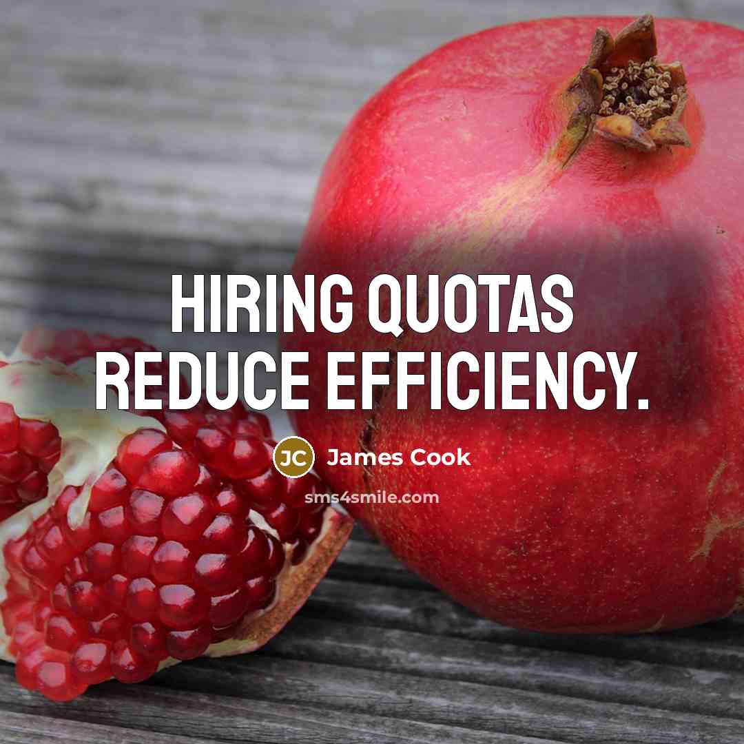 “Hiring quotas reduce efficiency.” quote by James Cook