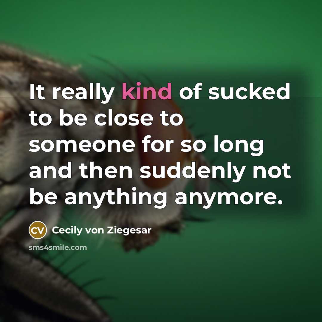 “It really kind of sucked to be close to someone for so long and then suddenly not be anything anymore.” quote by Cecily von Ziegesar