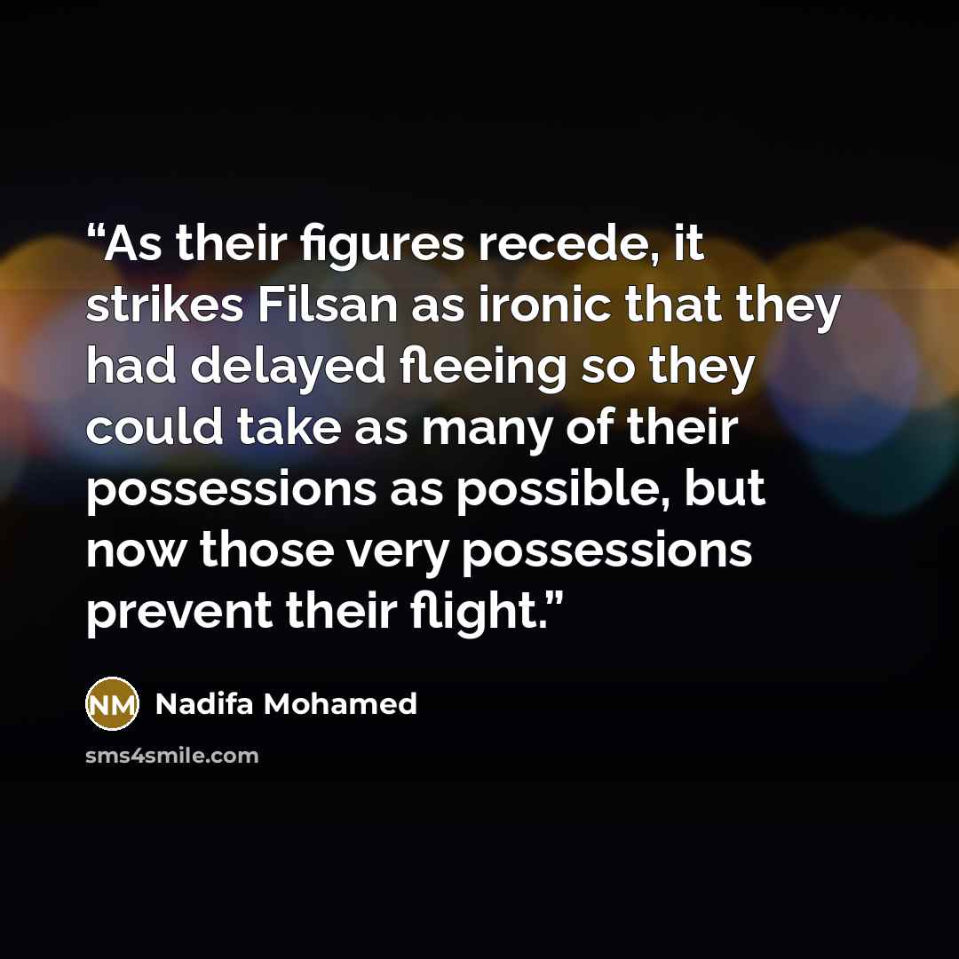 “As their figures recede, it strikes Filsan as ironic that they had delayed fleeing so they could take as many of their possessions as possible, but now those very possessions prevent their flight.” quote by Nadifa Mohamed