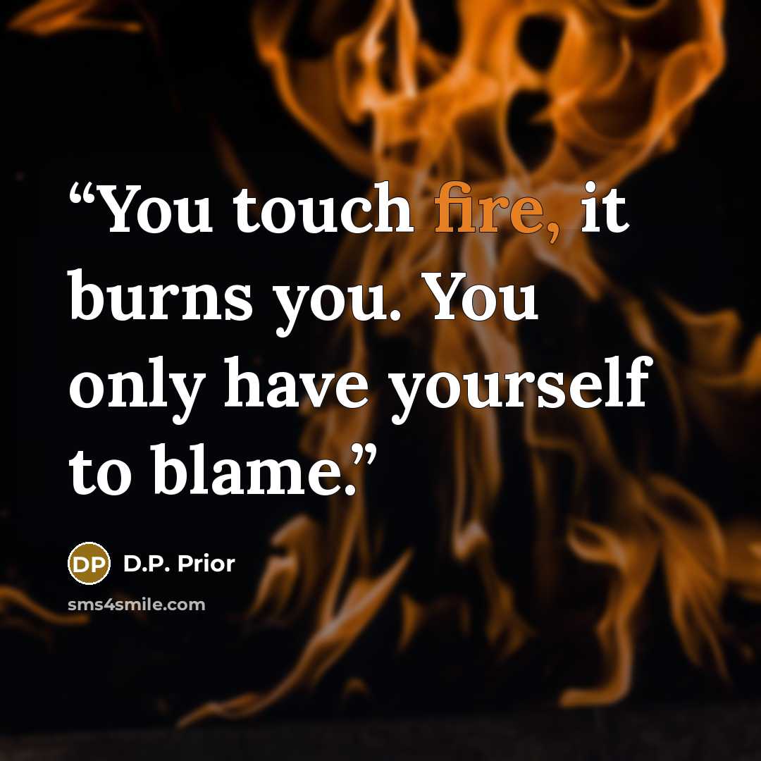 “You touch fire, it burns you. You only have yourself to blame.” quote by D.P. Prior