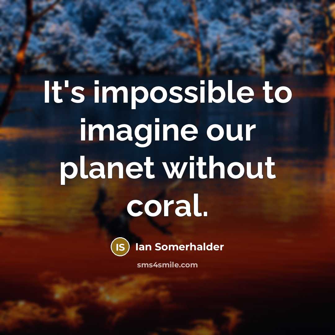 “It's impossible to imagine our planet without coral.” quote by Ian Somerhalder