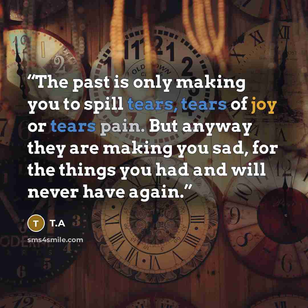 “The past is only making you to spill tears, tears of joy or tears pain. But anyway they are making you sad, for the things you had and will never have again.” quote by T.A
