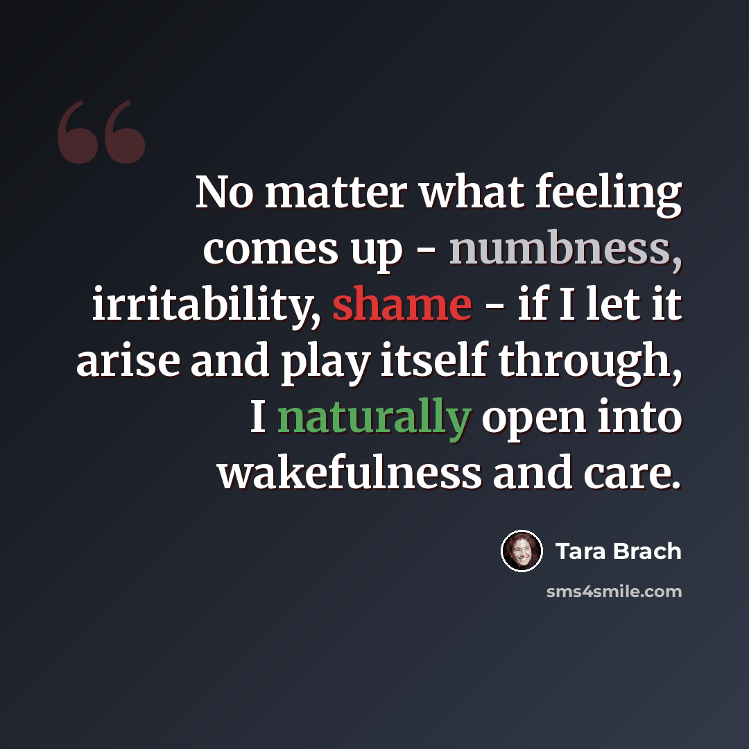 “No matter what feeling comes up - numbness, irritability, shame - if I let it arise and play itself through, I naturally open into wakefulness and care.” quote by Tara Brach