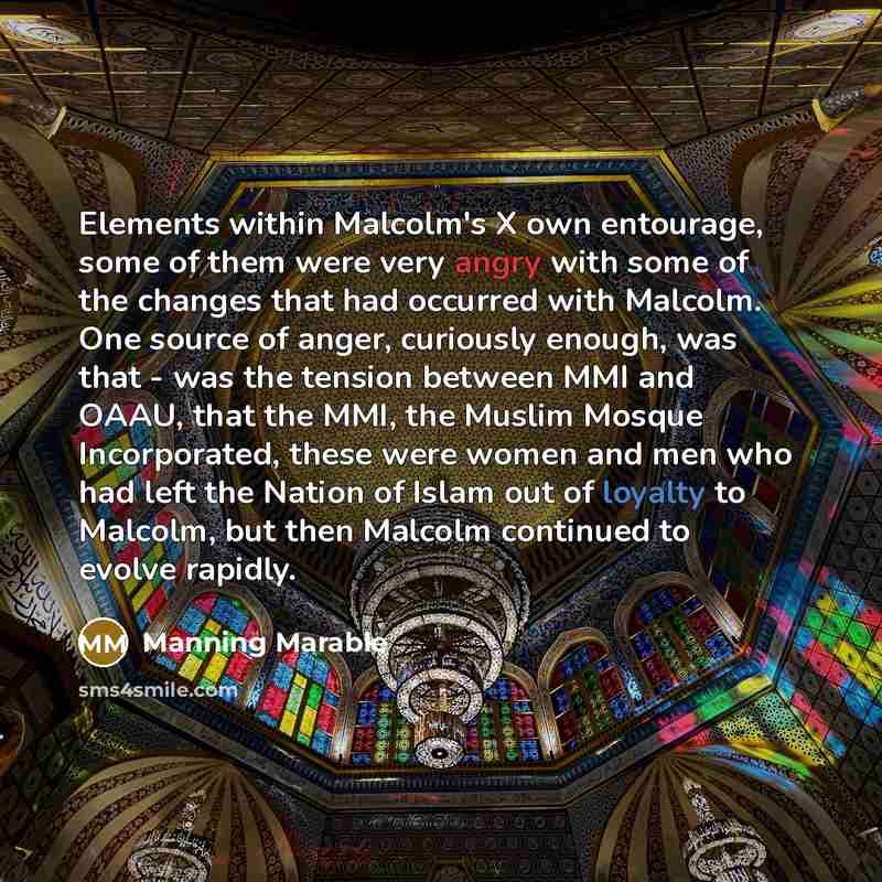 “Elements within Malcolm's X own entourage, some of them were very angry with some of the changes that had occurred with Malcolm. One source of anger, curiously enough, was that - was the tension between MMI and OAAU, that the MMI, the Muslim Mosque Incorporated, these were women and men who had…” quote by Manning Marable