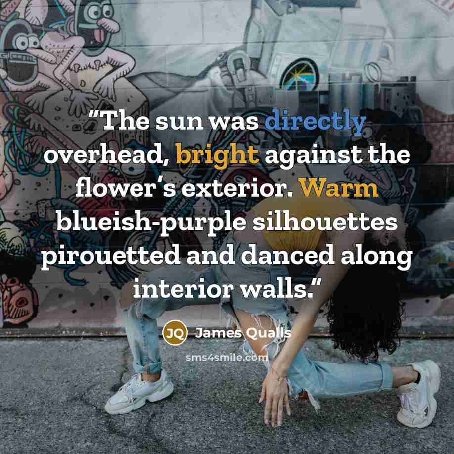 “The sun was directly overhead, bright against the flower’s exterior. Warm blueish-purple silhouettes pirouetted and danced along interior walls.” quote by James Qualls