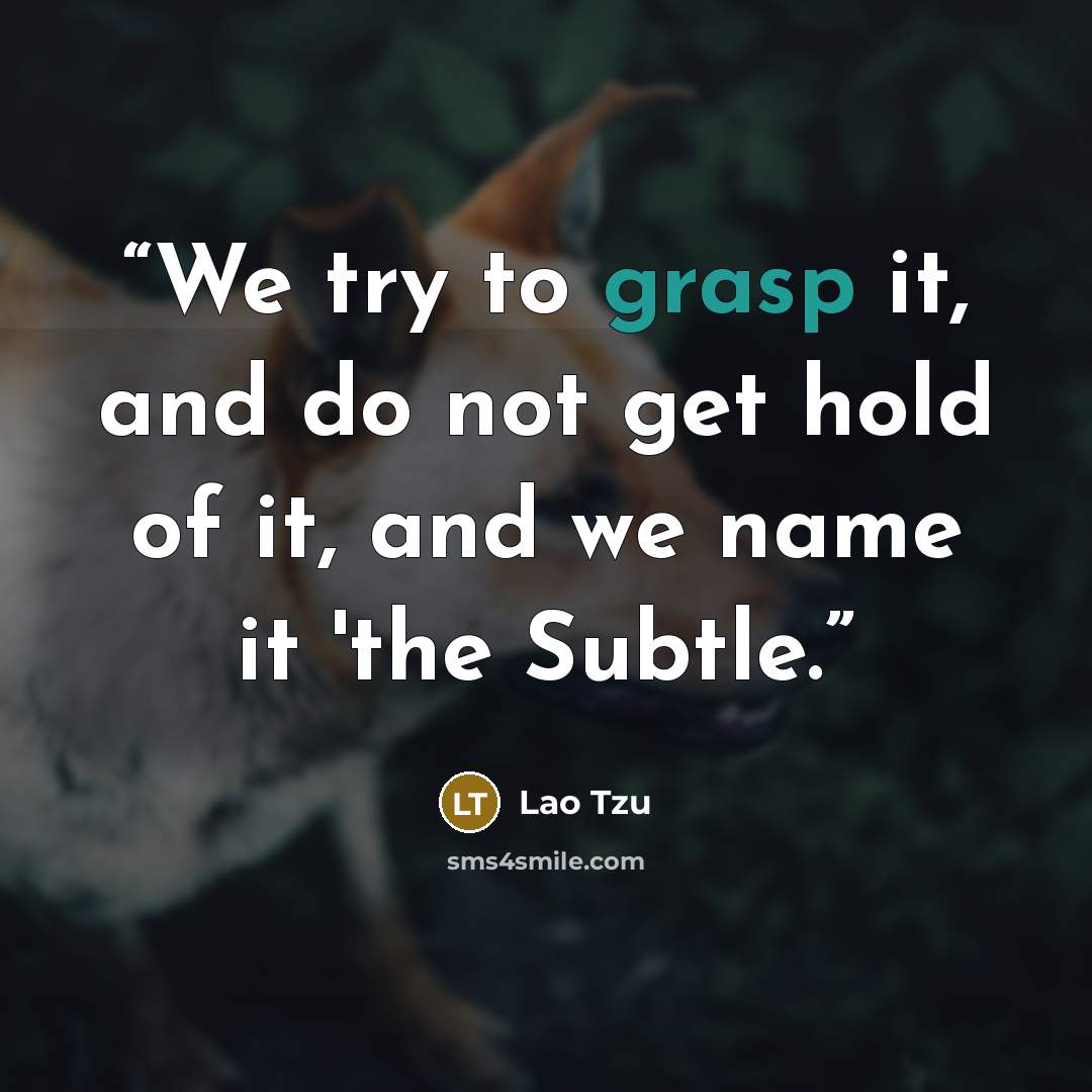 “We try to grasp it, and do not get hold of it, and we name it 'the Subtle.” quote by Lao Tzu