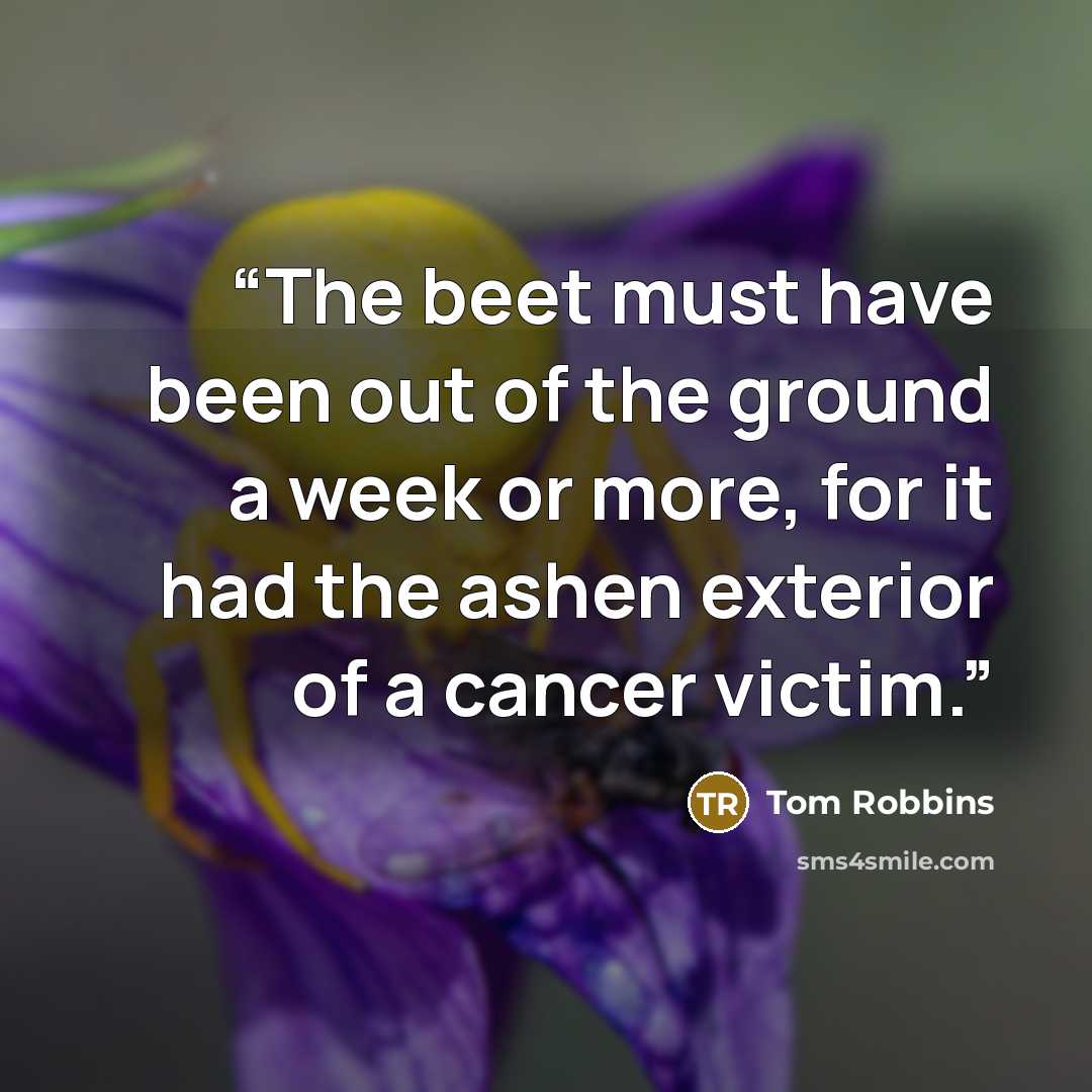 “The beet must have been out of the ground a week or more, for it had the ashen exterior of a cancer victim.” quote by Tom Robbins