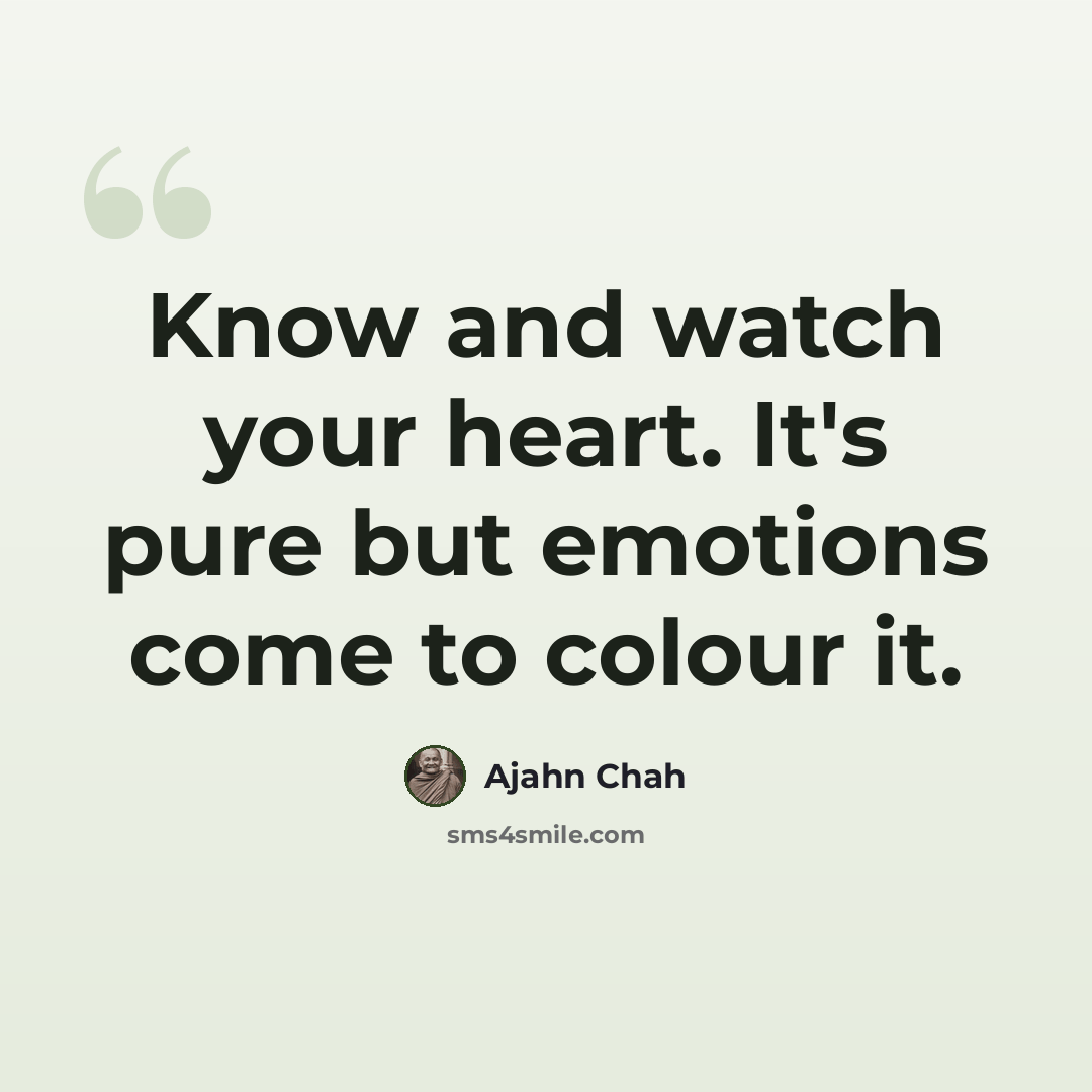 “Know and watch your heart. It's pure but emotions come to colour it.” quote by Ajahn Chah