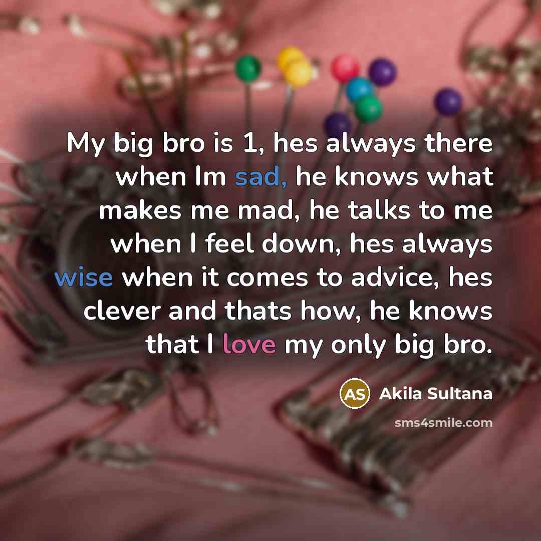 “My big bro is 1, hes always there when Im sad, he knows what makes me mad, he talks to me when I feel down, hes always wise when it comes to advice, hes clever and thats how, he knows that I love my only big bro.” quote by Akila Sultana