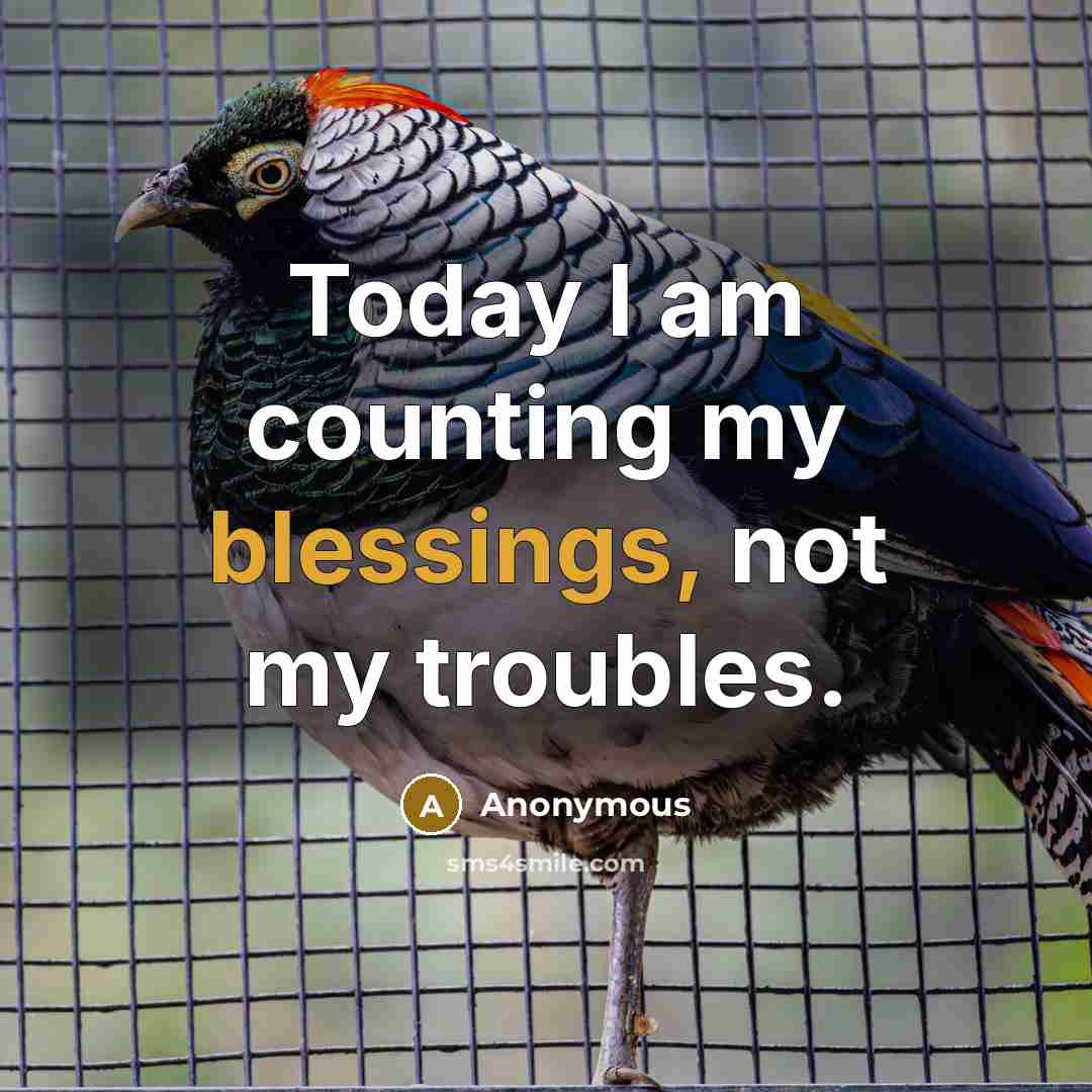 “Today I am counting my blessings, not my troubles.” quote by Anonymous