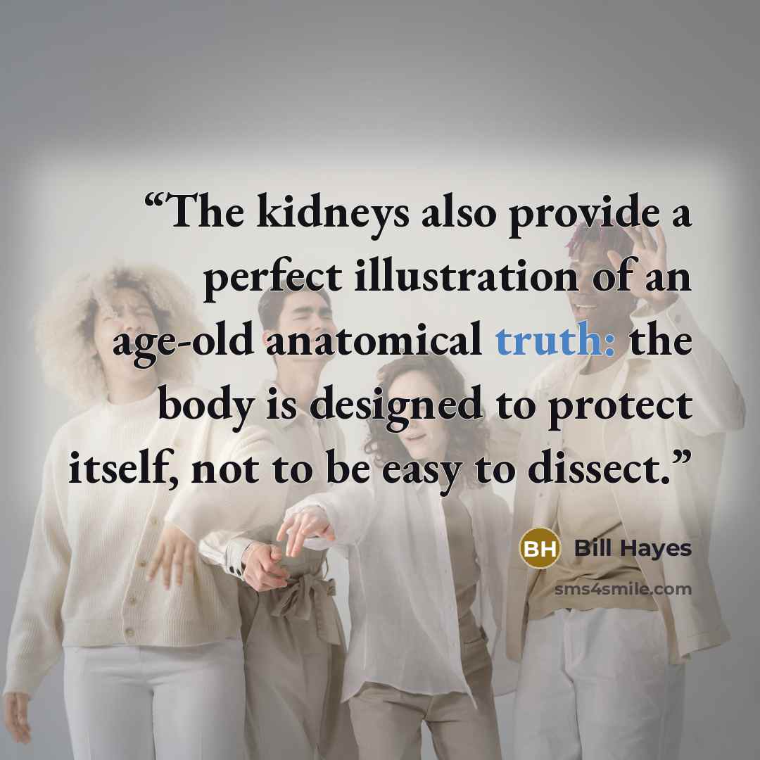 “The kidneys also provide a perfect illustration of an age-old anatomical truth: the body is designed to protect itself, not to be easy to dissect.” quote by Bill Hayes